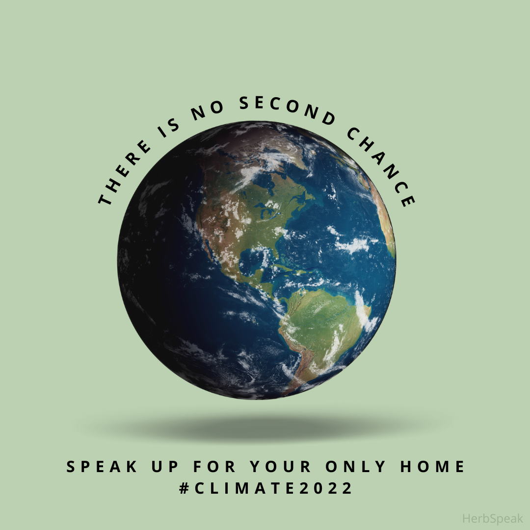 When Climate Inaction Hurts (and What You Can Do)