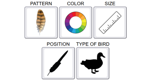 USFWS Feather Atlas | HerbSpeak