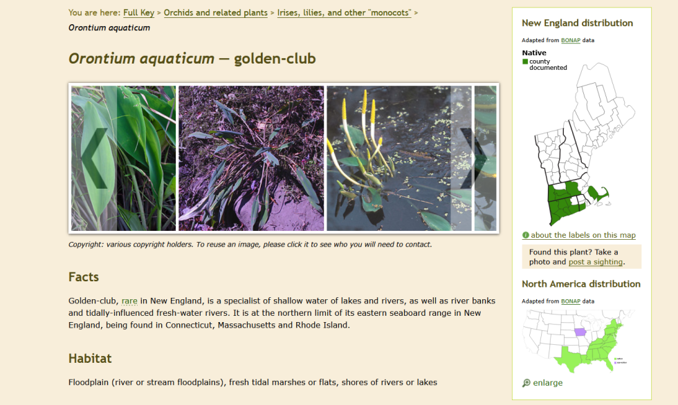 How to Use GoBotany | HerbSpeak